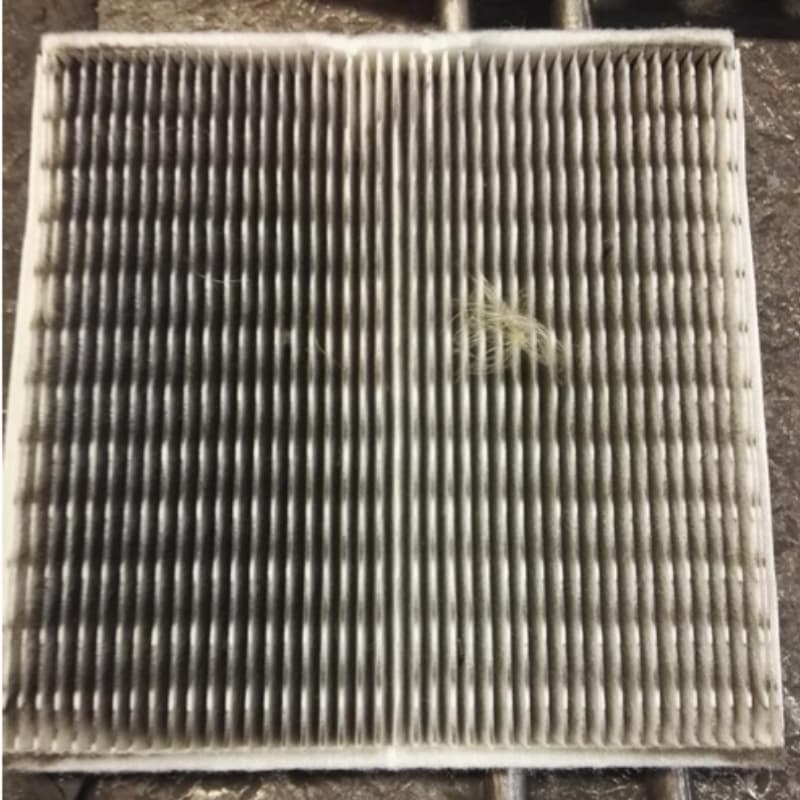 blue e+ pleated filter pad